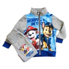 intentional Permeability Departure Paw Patrol